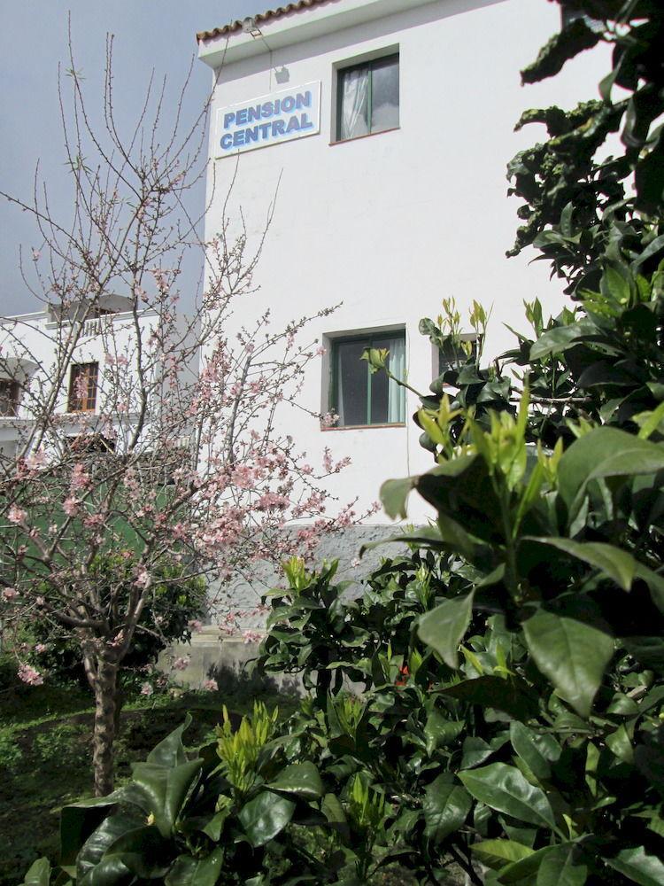 פואנקאליינטה דה לה פלמה La Palma Hostel By Pension Central מראה חיצוני תמונה