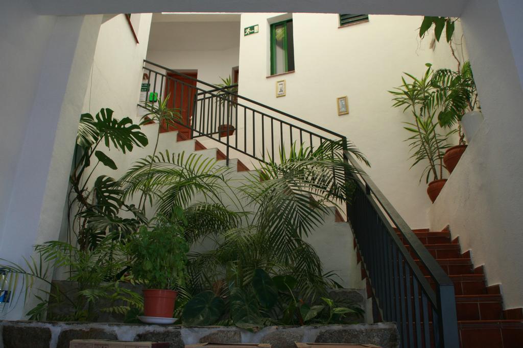 פואנקאליינטה דה לה פלמה La Palma Hostel By Pension Central מראה חיצוני תמונה